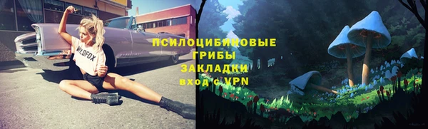 мяу мяу мука Армянск