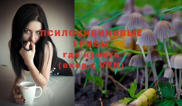 дмт Аркадак