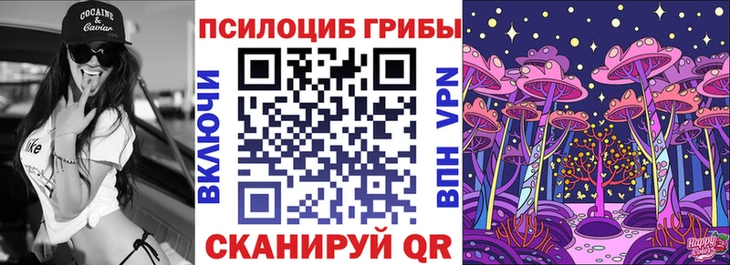 блэк спрут как войти  где продают   Тында  Псилоцибиновые грибы Psilocybine cubensis 